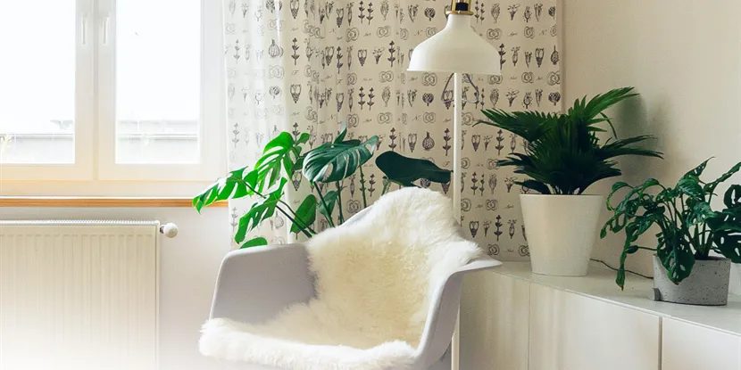 Udlejning af værelse i andelsbolig